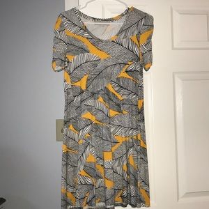 A cute dress from the Loft!